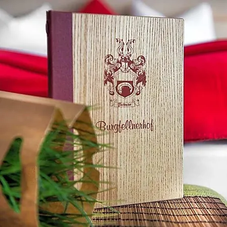 Hotel Der Burgfellnerhof - Adults Only Schladming