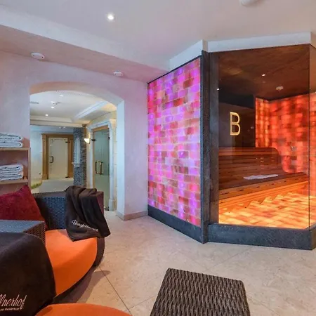 Der Burgfellnerhof - Adults Only Hotel Schladming