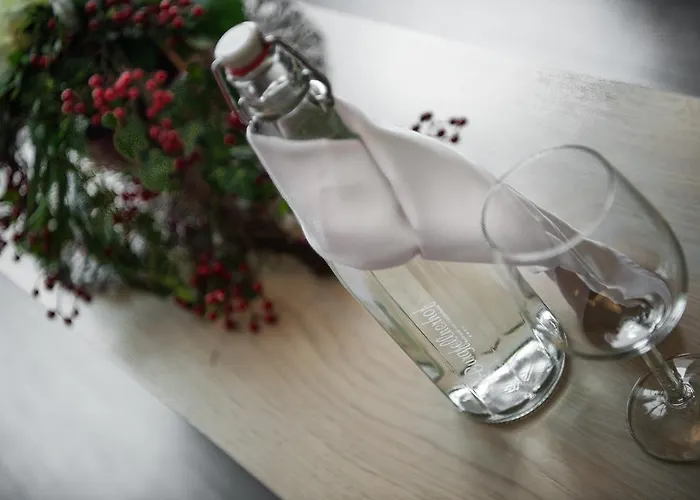 Der Burgfellnerhof - Adults Only 4* Schladming